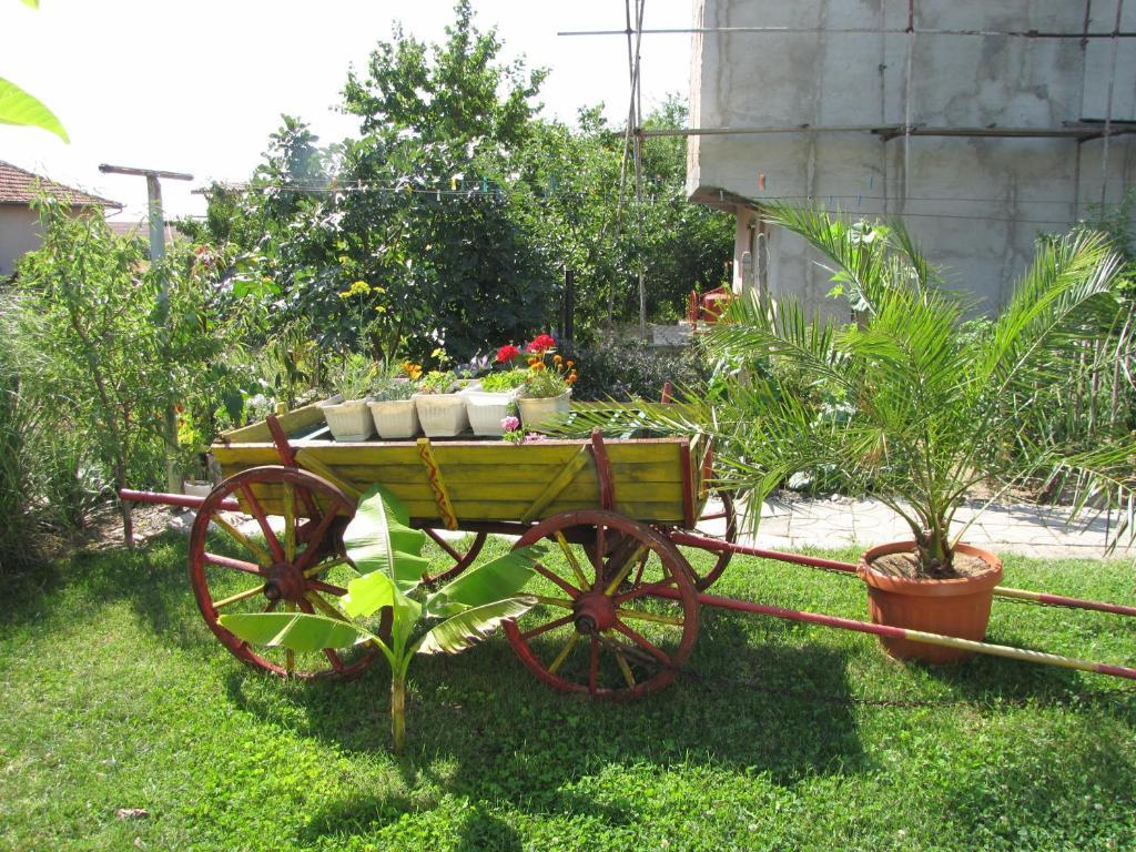 Guest House Rusalka Byala  Exterior foto